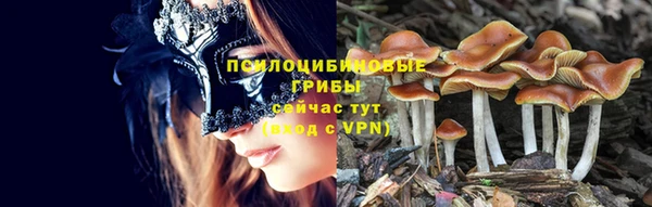 соль курить ск Бронницы