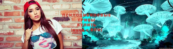 гидра Бугульма