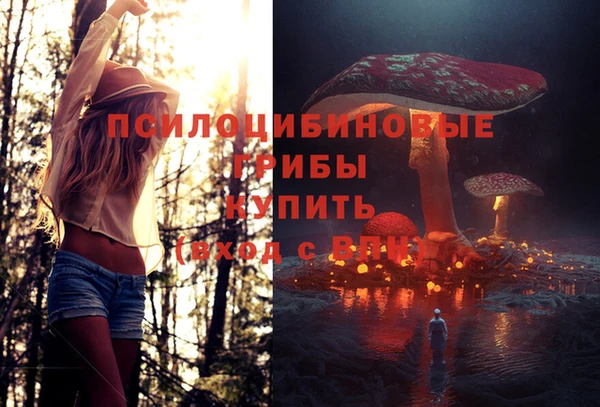 прущая мука Богданович