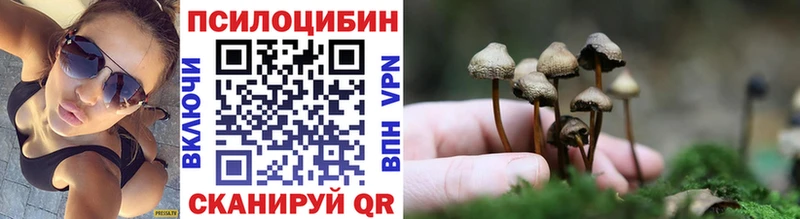 Галлюциногенные грибы мицелий Минеральные Воды